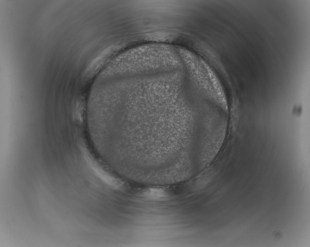 X0000113120114200909111149