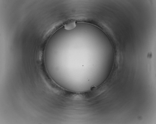 X0000113120115200909111149