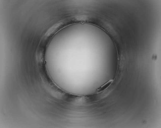 X0000113120116200909111149