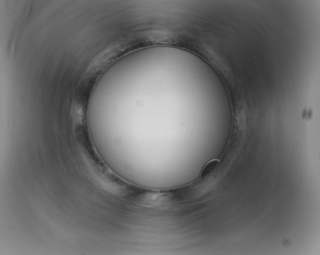 X0000113120117200909111149