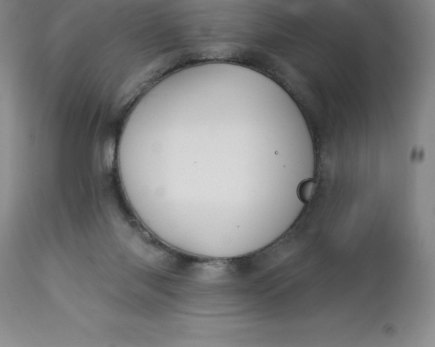 X0000113120118200909111149