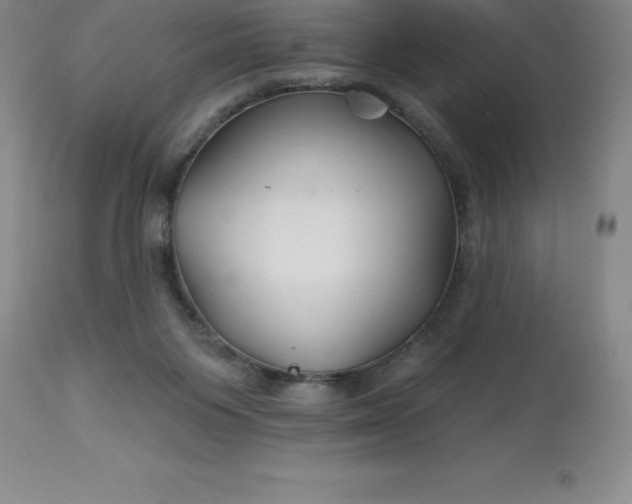 X0000113120119200909111149