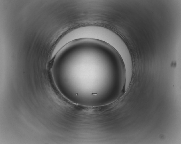 X0000113120120200909111149