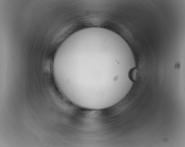 X0000113120122200909111149