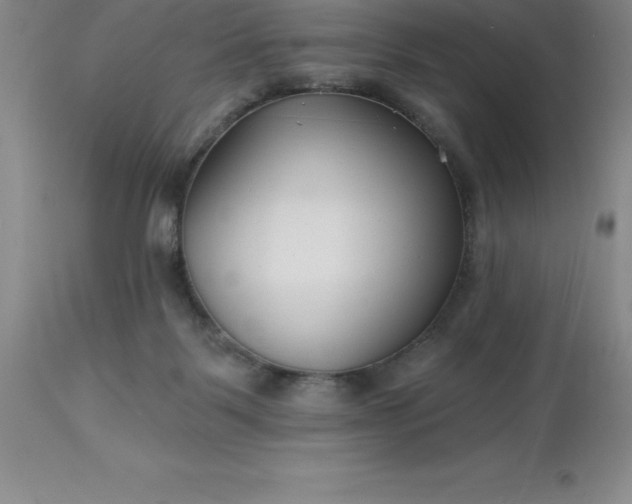 X0000113120123200909111149