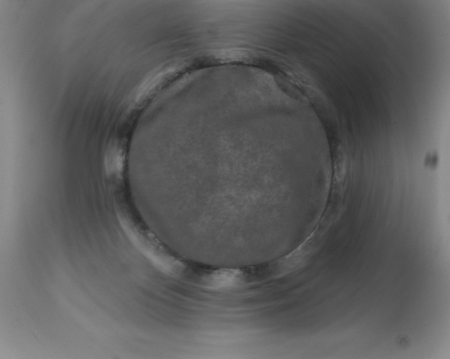 X0000113120124200909111149