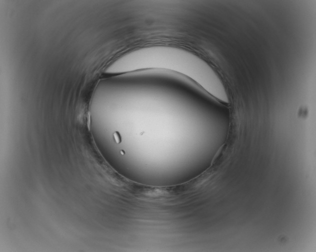 X0000113120125200909111149