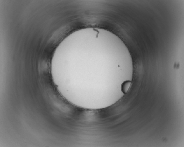 X0000113120126200909111149