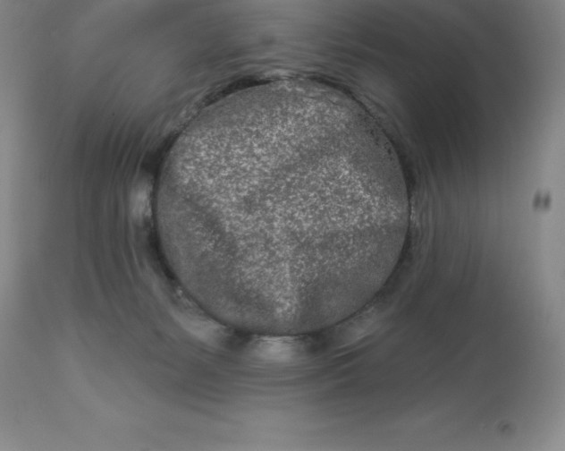 X0000113120127200909111149