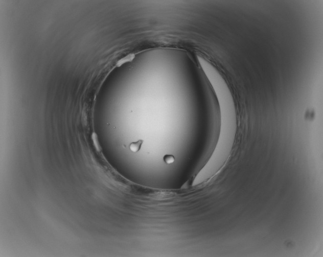 X0000113120128200909111149