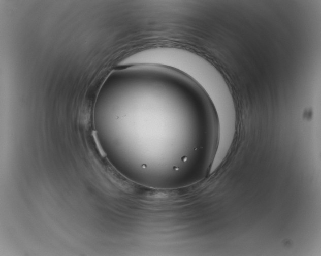 X0000113120129200909111149