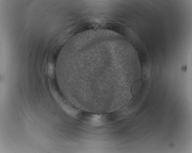 X0000113120130200909111149