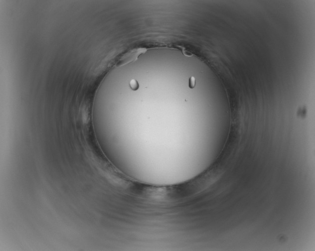 X0000113120131200909111149