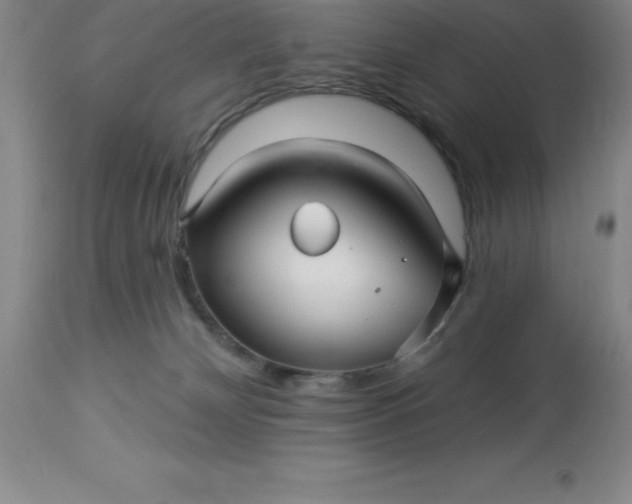 X0000113120132200909111149