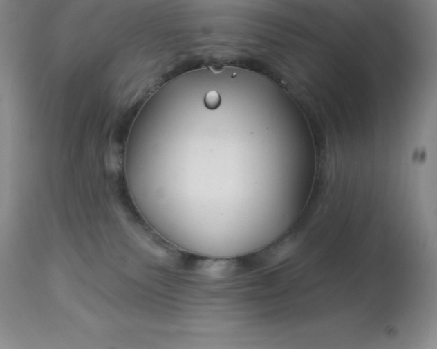 X0000113120135200909111148