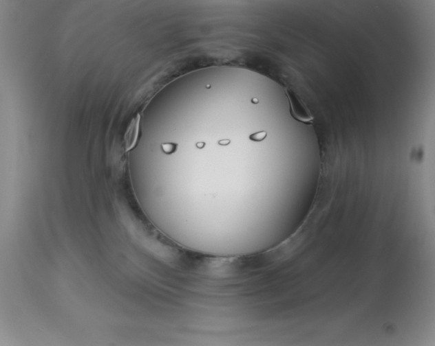 X0000113120136200909111148