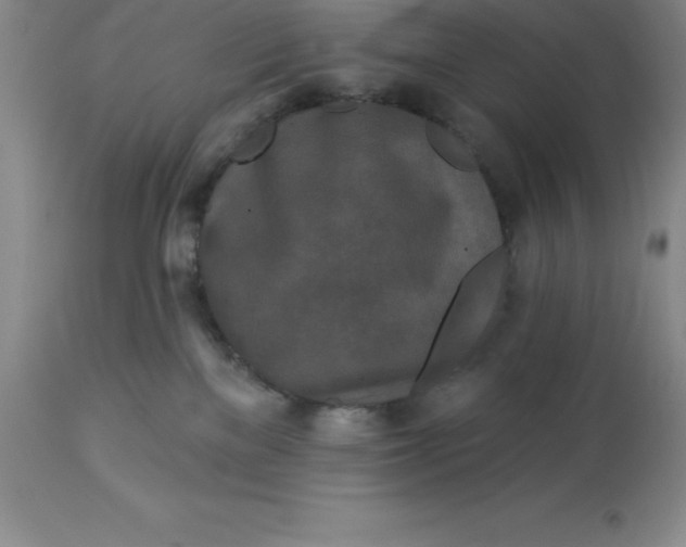 X0000113120137200909111148