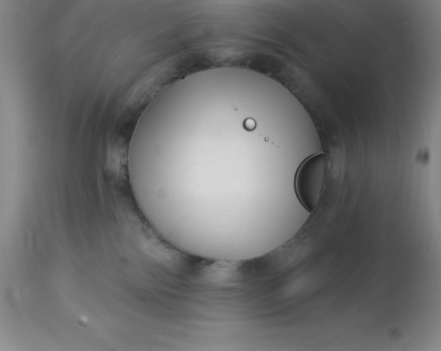 X0000113120138200909111148