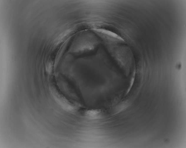 X0000113120139200909111148