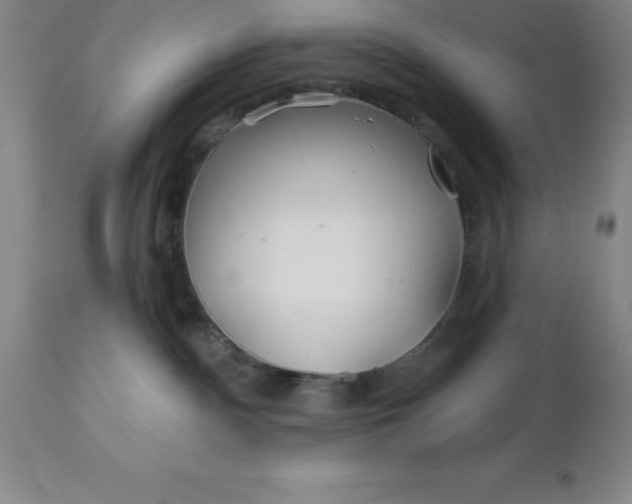 X0000113120140200909111148