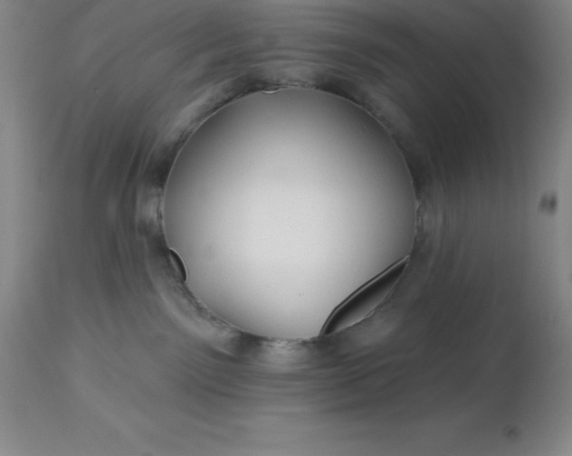 X0000113120141200909111148