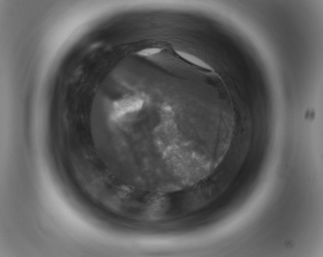 X0000113120143200909111148