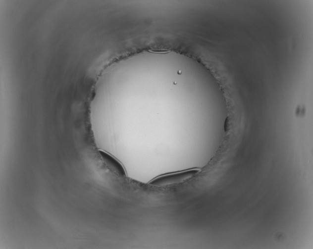 X0000113120144200909111148