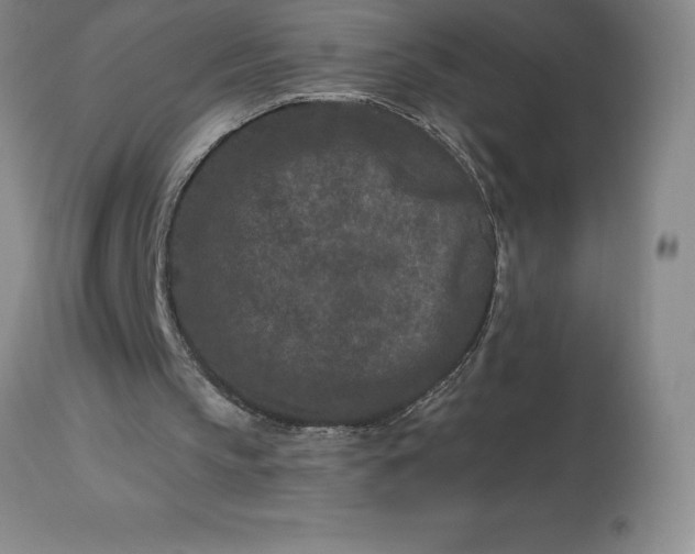 X0000113120145200909111148