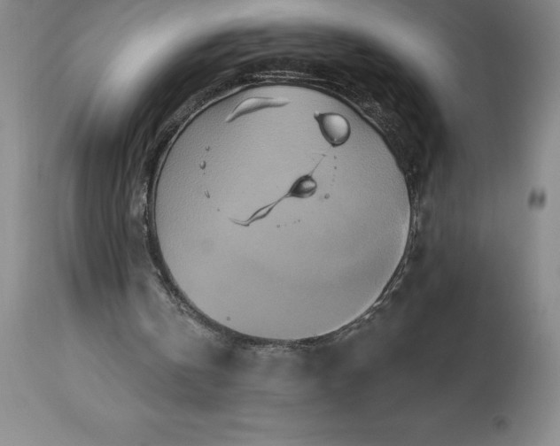 X0000113120146200909111148