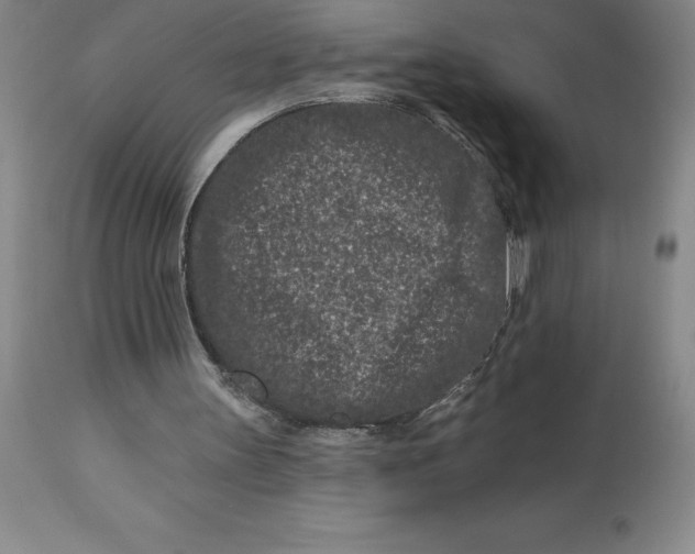 X0000113120147200909111148