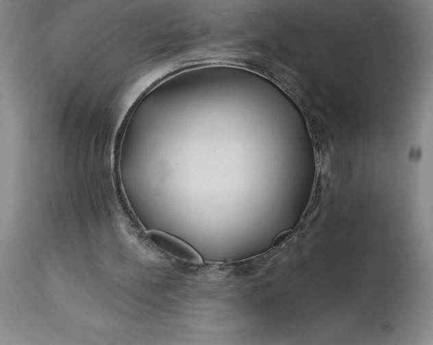 X0000113120148200909111148