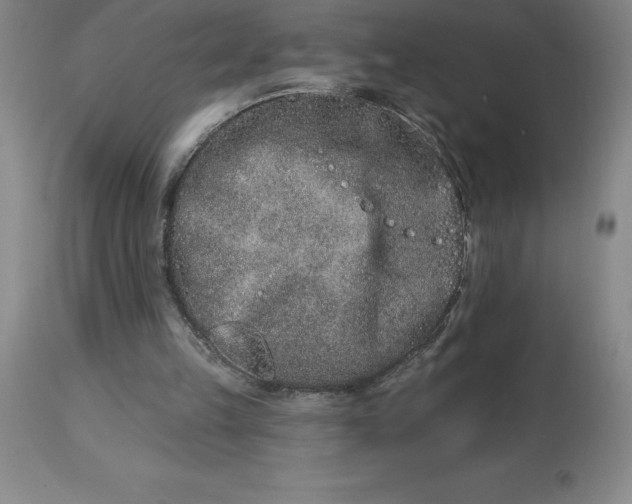 X0000113120149200909111148