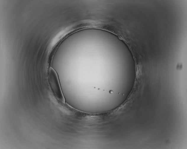 X0000113120150200909111148