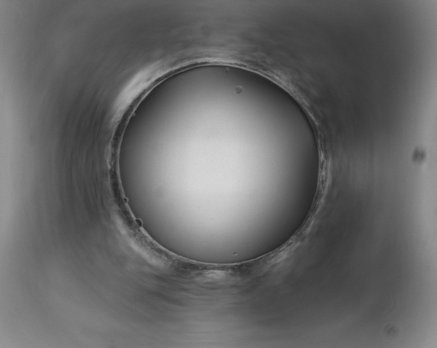 X0000113120151200909111148