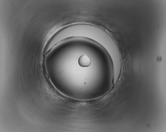 X0000113120152200909111148