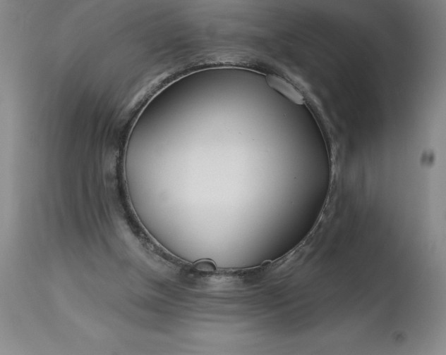 X0000113120154200909111148