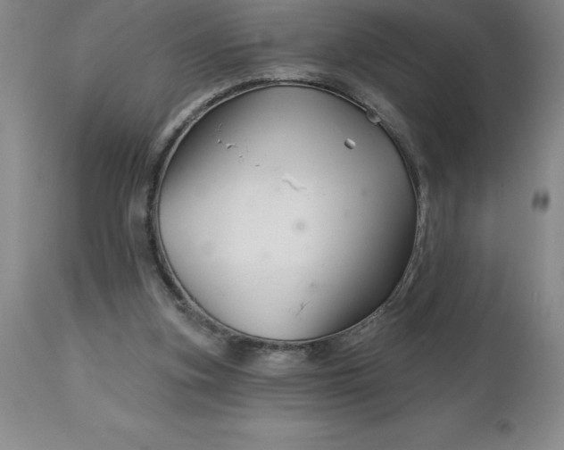 X0000113120155200909111148