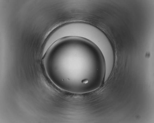 X0000113120156200909111148