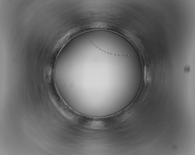 X0000113120157200909111148