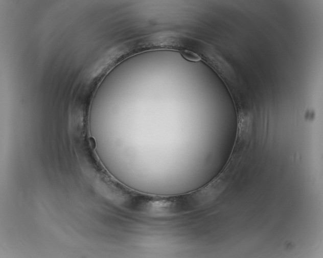 X0000113120158200909111148