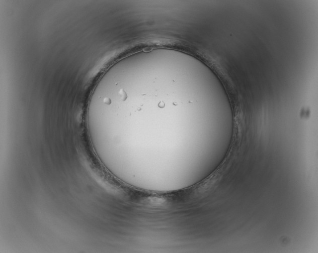 X0000113120159200909111148