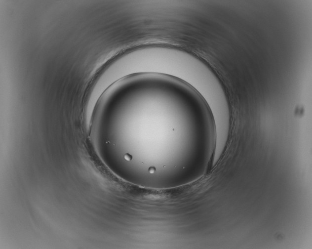 X0000113120160200909111148