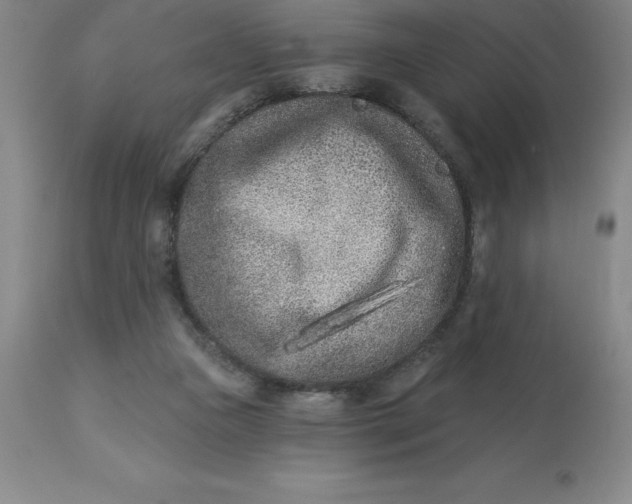 X0000113120161200909111148