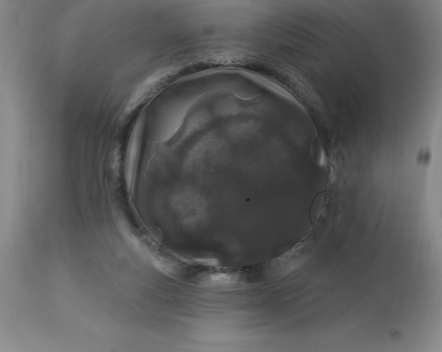 X0000113120163200909111148