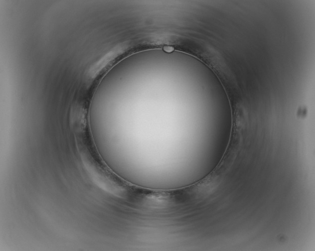 X0000113120164200909111148