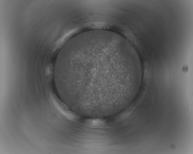 X0000113120165200909111148