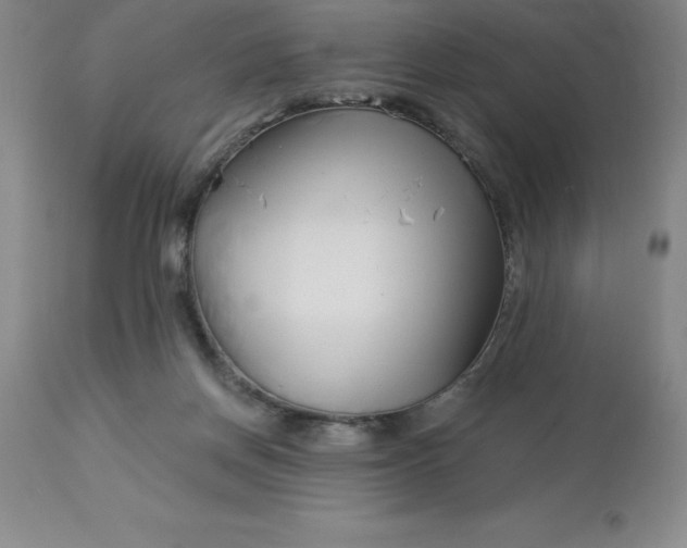 X0000113120166200909111148