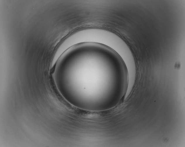 X0000113120168200909111148