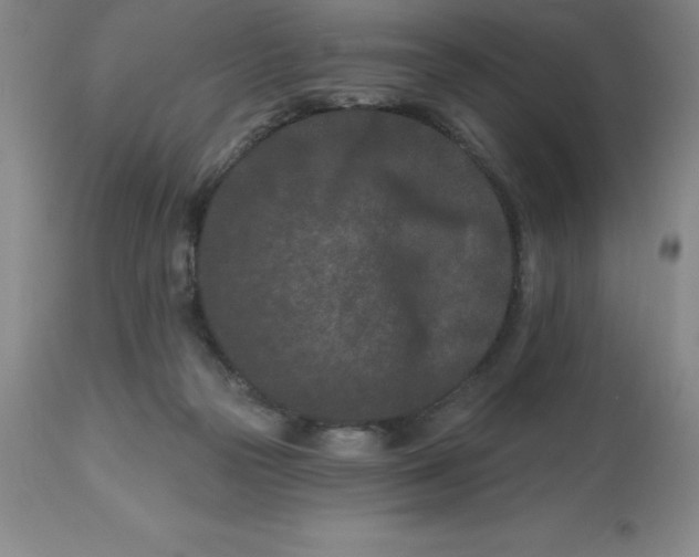 X0000113120169200909111148