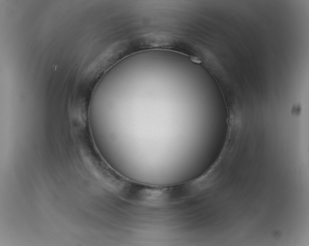 X0000113120170200909111148